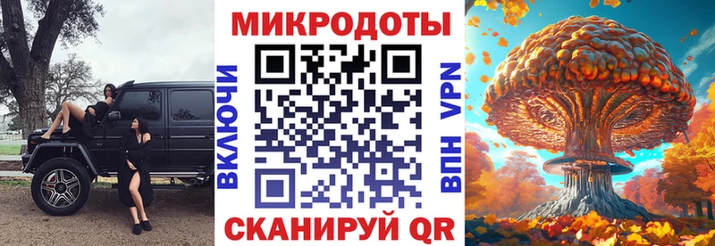 mega tor  Южноуральск  Псилоцибиновые грибы мицелий 