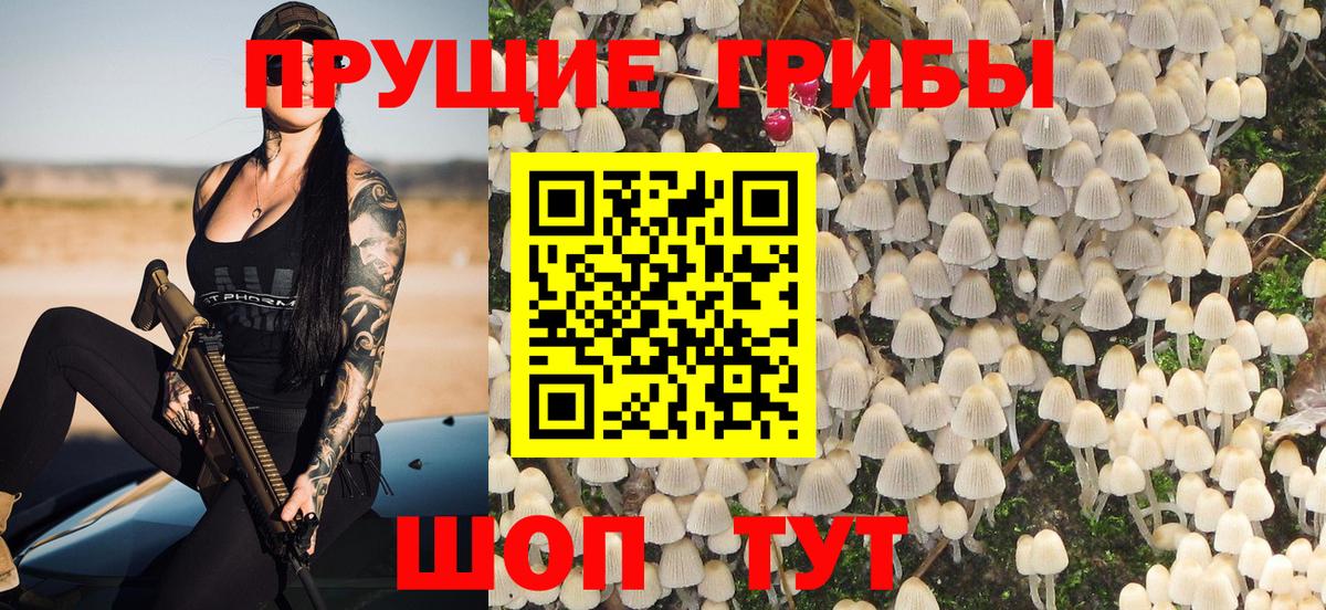 Псилоцибиновые грибы Psilocybine cubensis Южноуральск