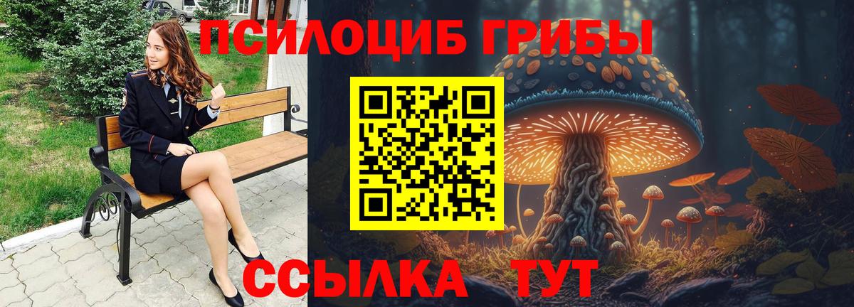 сколько стоит  Вход с VPN  Южноуральск  Галлюциногенные грибы Psilocybe 
